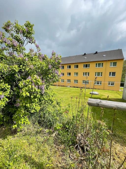 Franzis Feriendomizil Im Herzgebirge Am Skihang Auerbach  外观 照片