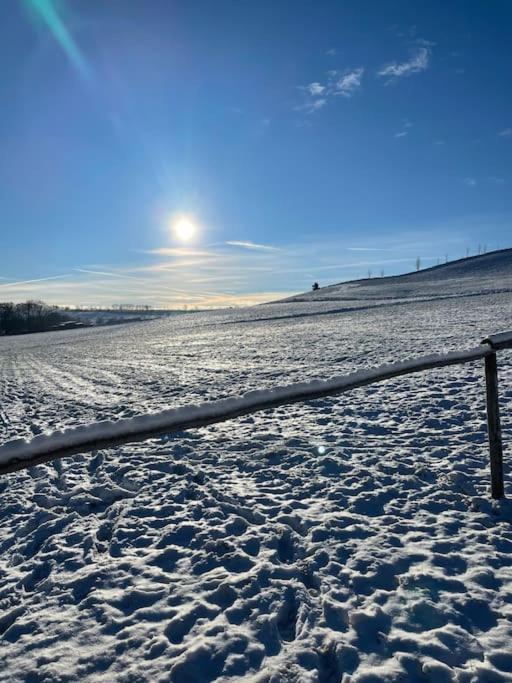 Franzis Feriendomizil Im Herzgebirge Am Skihang Auerbach  外观 照片
