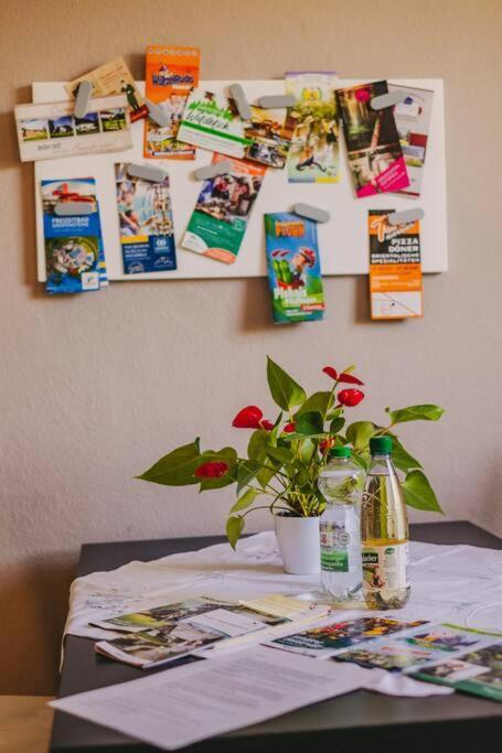 Franzis Feriendomizil Im Herzgebirge Am Skihang Auerbach  外观 照片