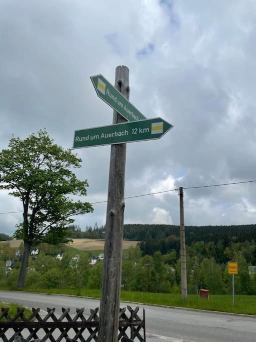 Franzis Feriendomizil Im Herzgebirge Am Skihang Auerbach  外观 照片